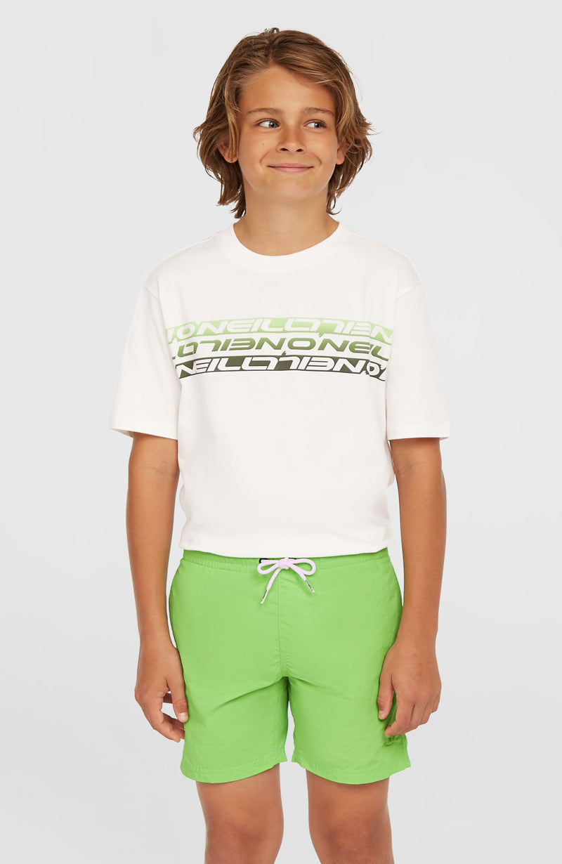Oneill Kids Vert 14'' Swim Shorts | Green