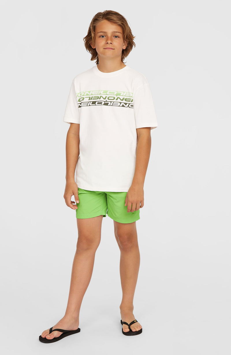 Oneill Kids Vert 14'' Swim Shorts | Green