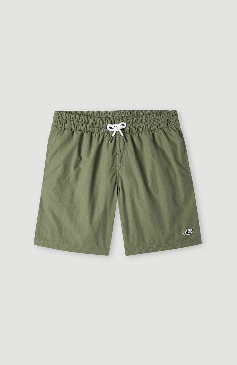 oneill Kids Vert 14'' Swim Shorts | Green