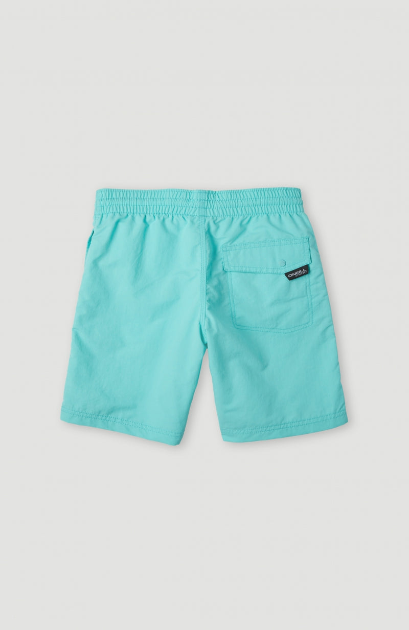 Oneill Kids Vert 14'' Swim Shorts | Green