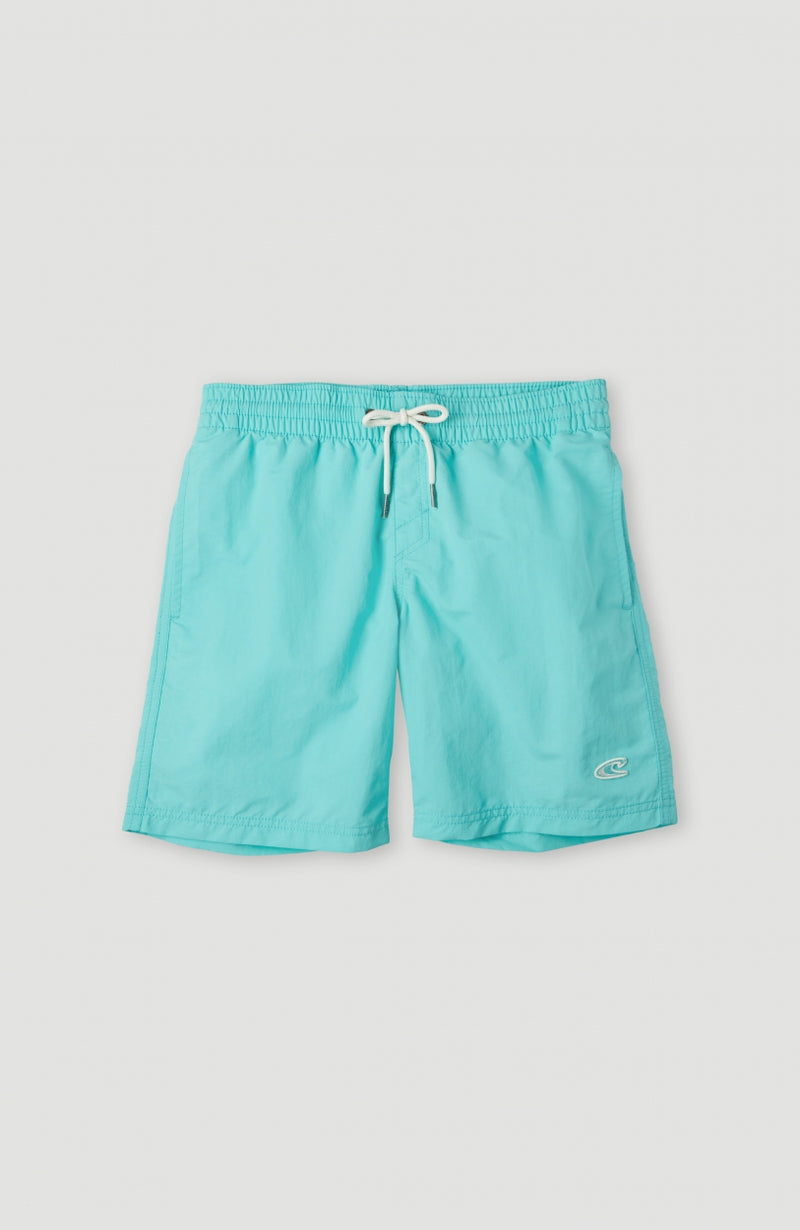 Oneill Kids Vert 14'' Swim Shorts | Green