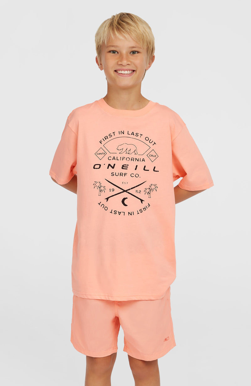 Oneill Kids Vert 14'' Swim Shorts | Pink