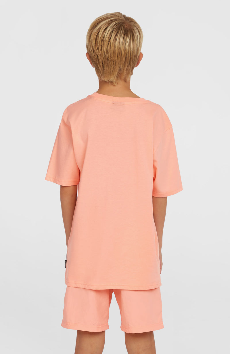 Oneill Kids Vert 14'' Swim Shorts | Pink