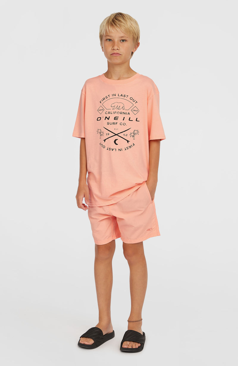 Oneill Kids Vert 14'' Swim Shorts | Pink