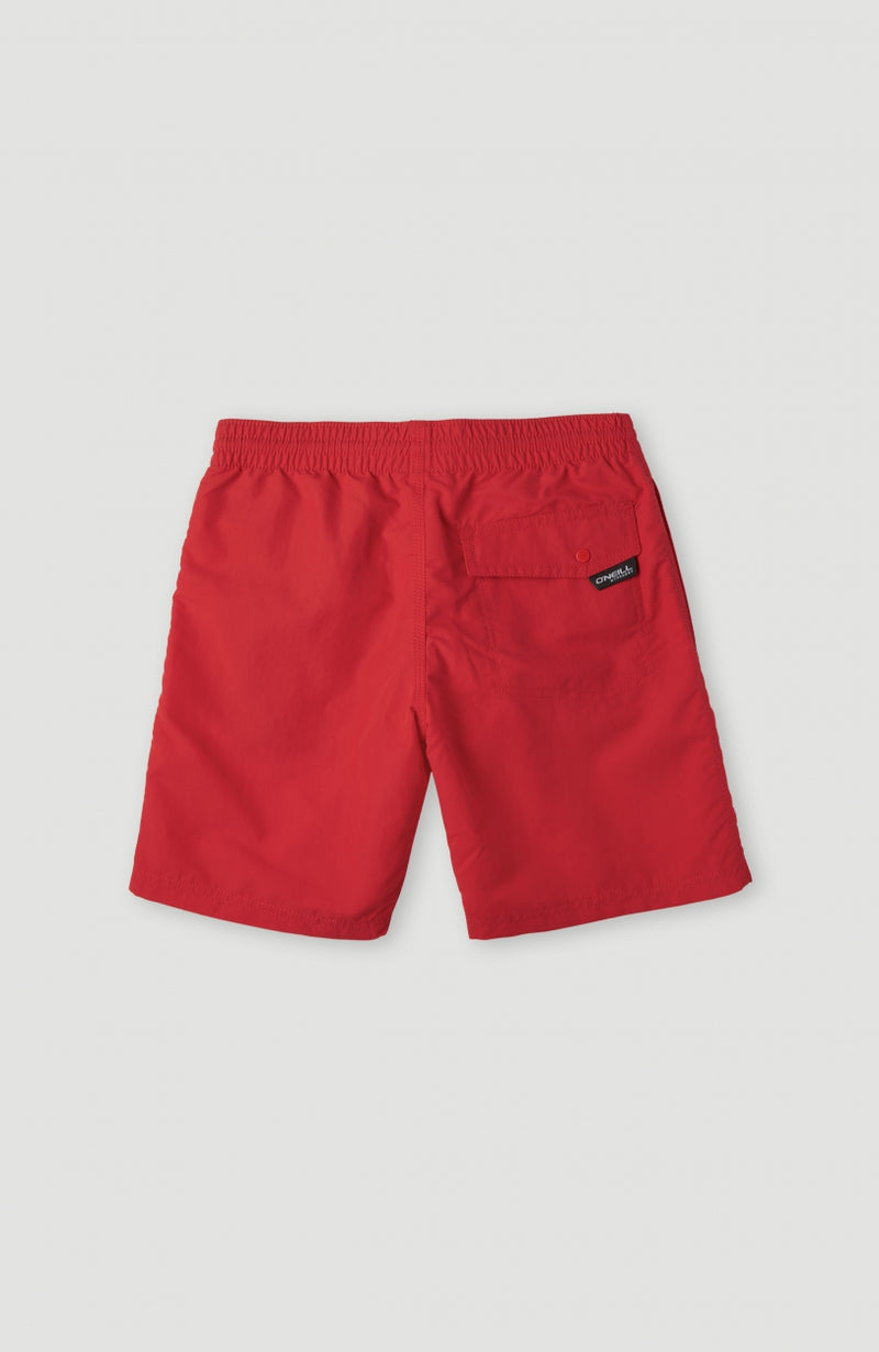 Oneill Kids Vert 14'' Swim Shorts | Red
