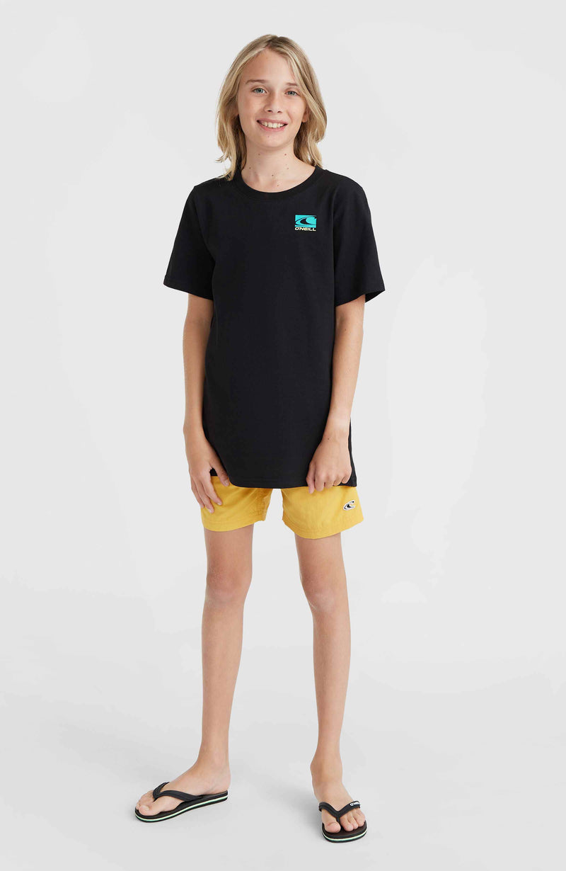 Oneill Kids Vert 14'' Swim Shorts | Yellow