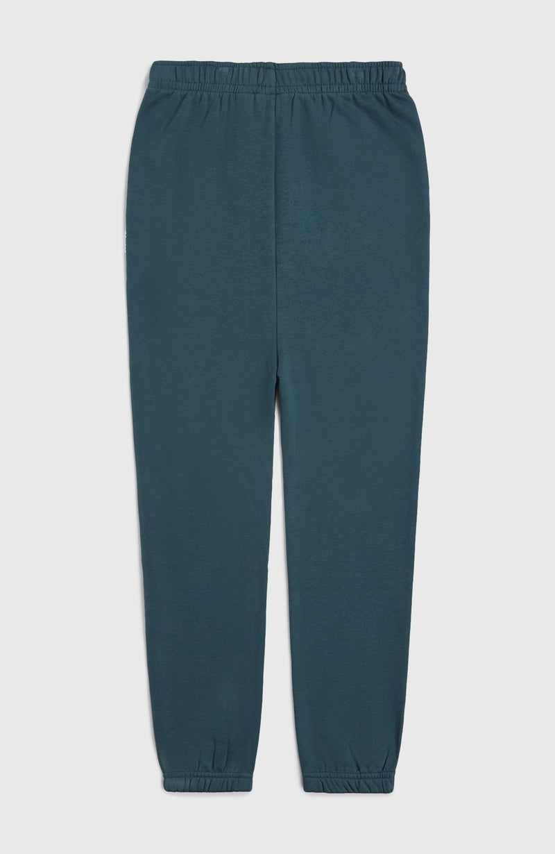Oneill Kids Women Of The Wave Sweatpants | Blue