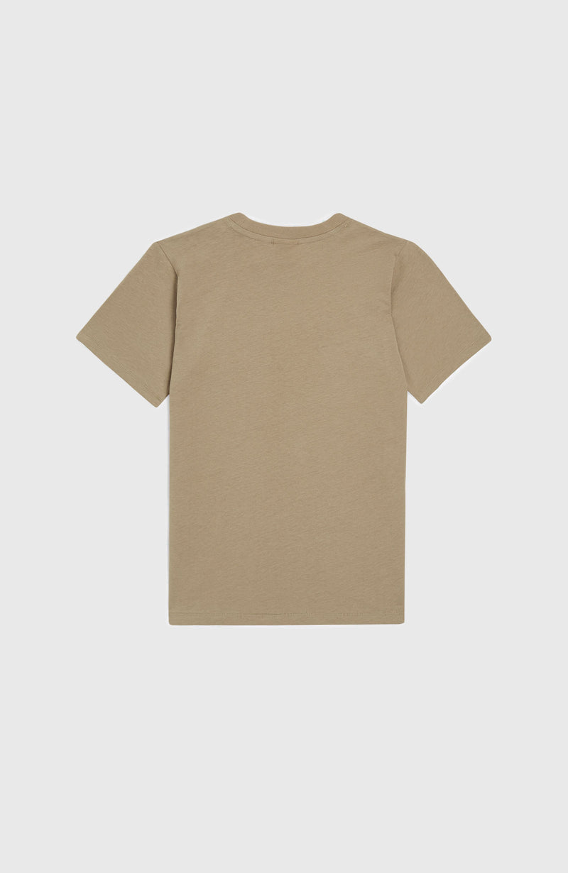 Oneill Kids Women Of The Wave T-Shirt | Brown