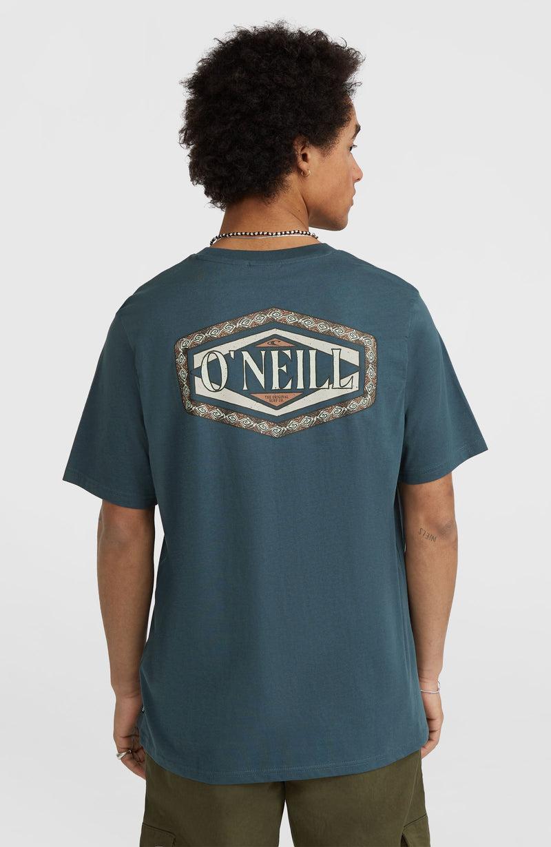 Oneill Men Back Print T-Shirt | Blue