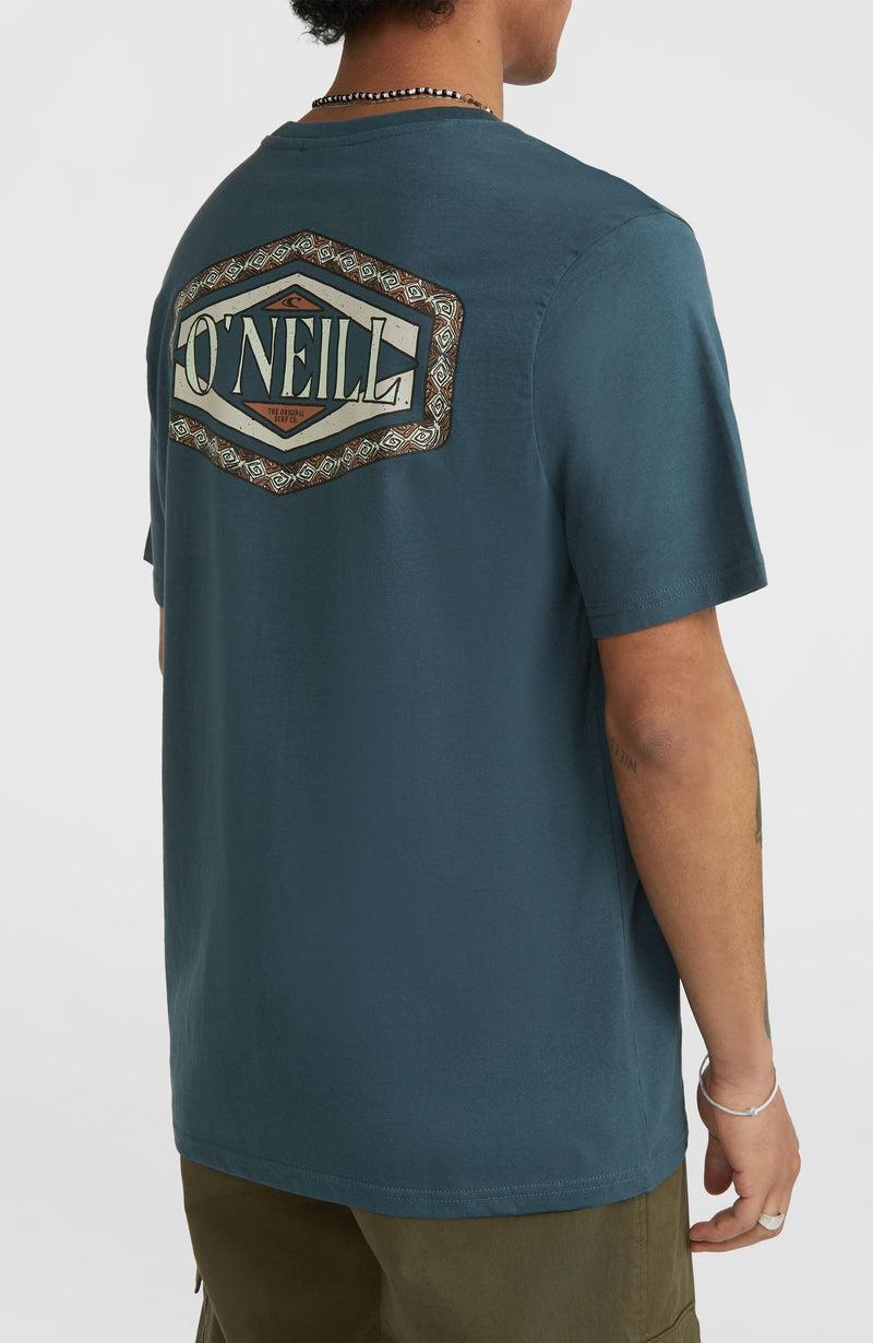 Oneill Men Back Print T-Shirt | Blue