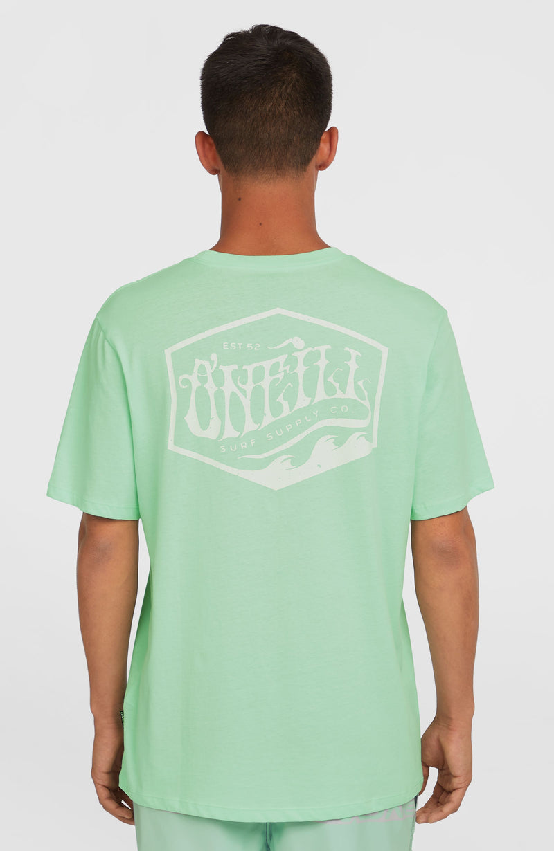 Oneill Men Box Logo T-Shirt | Green