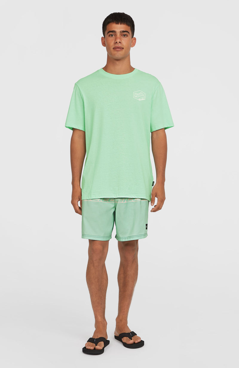 Oneill Men Box Logo T-Shirt | Green
