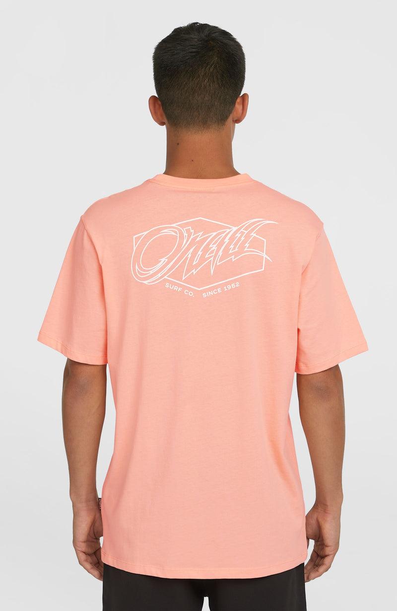 Oneill Men Box Logo T-Shirt | Pink