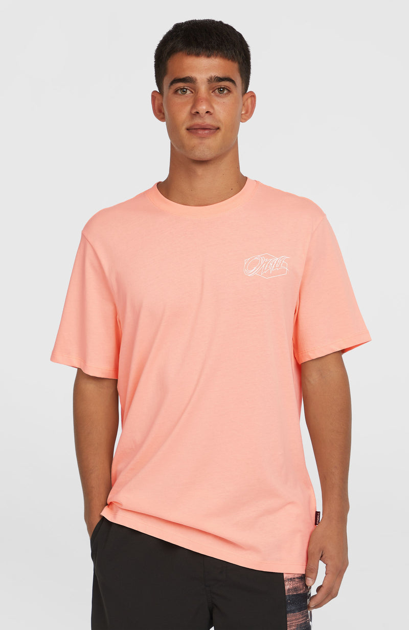 oneill Men Box Logo T-Shirt | Pink