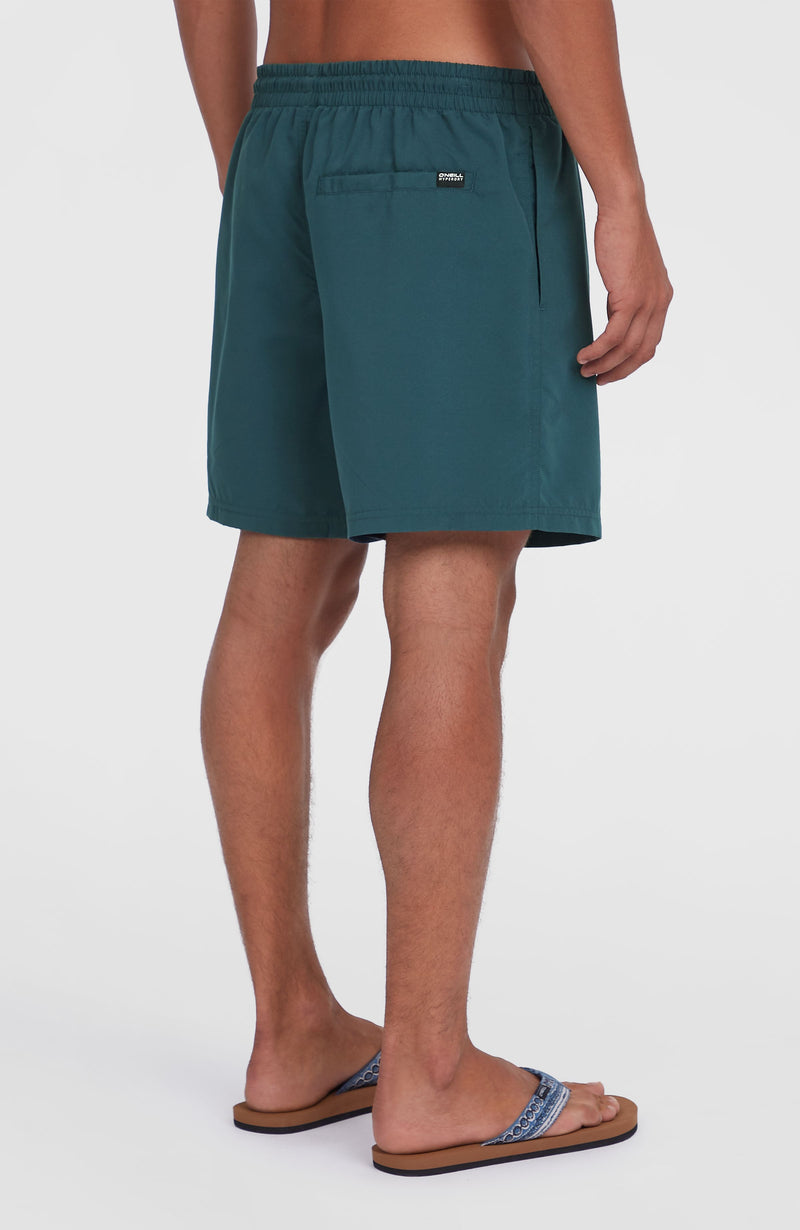 Oneill Men Cali 16'' Swim Shorts | Blue