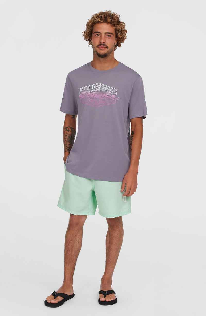 Oneill Men Cali 16'' Swim Shorts | Green