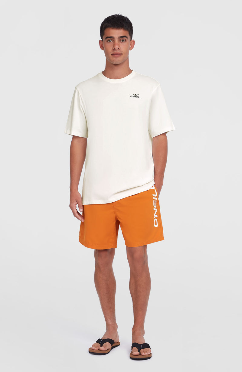 Oneill Men Cali 16'' Swim Shorts | Orange