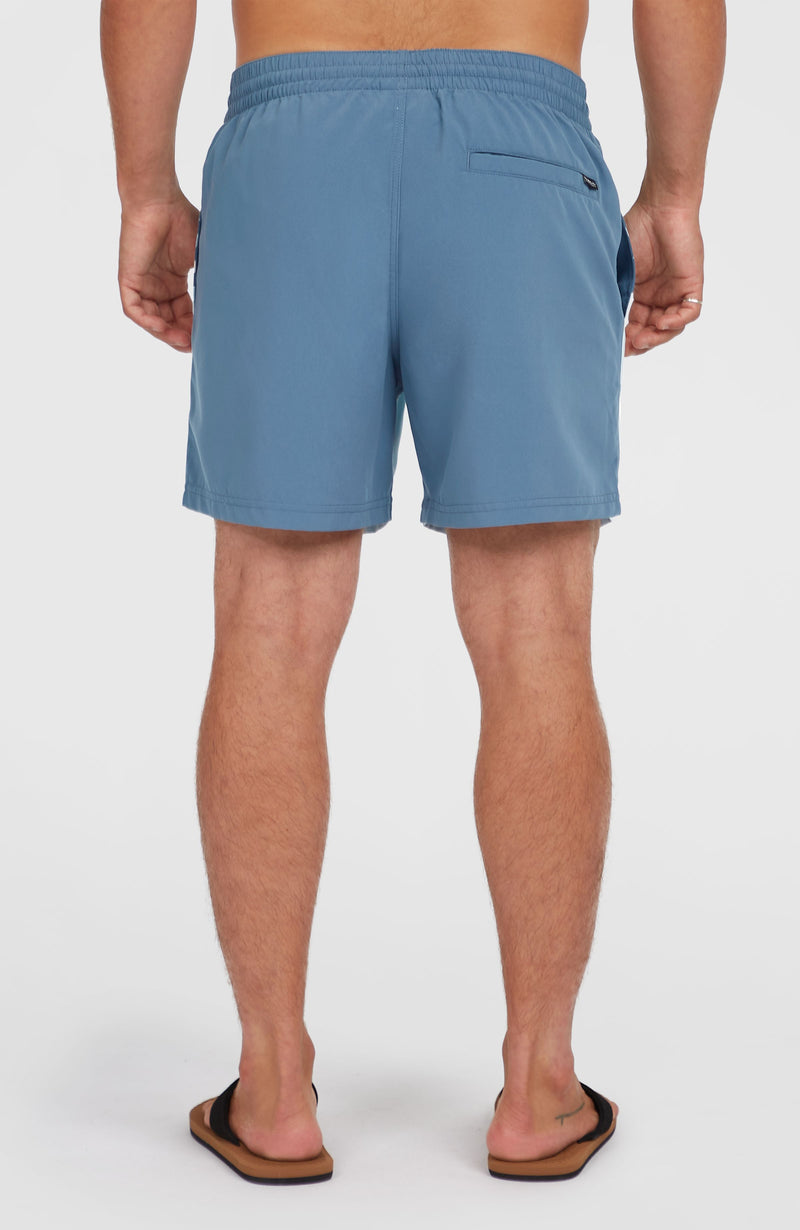 Oneill Men Cali Block 15'' Swim Shorts | Blue