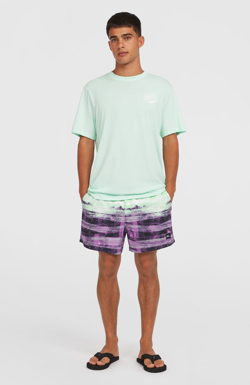 Oneill Men Cali Gradient 15'' Swim Shorts | Purple