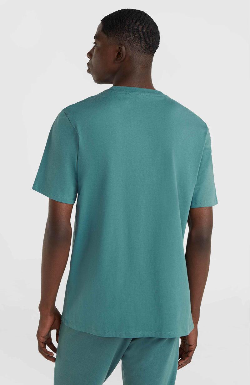 Oneill Men Cali Original T-Shirt | Blue