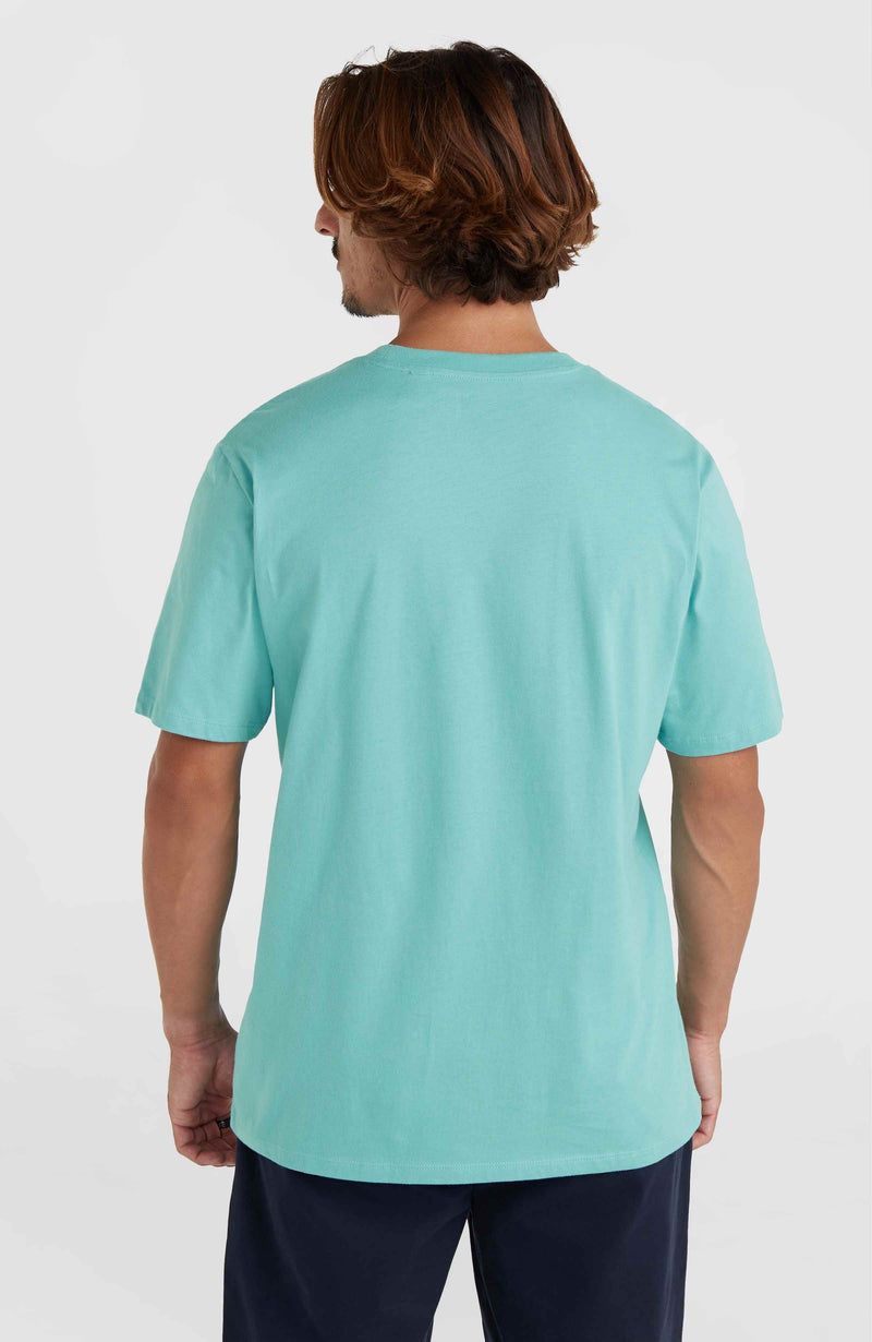 Oneill Men Cali Original T-Shirt | Blue