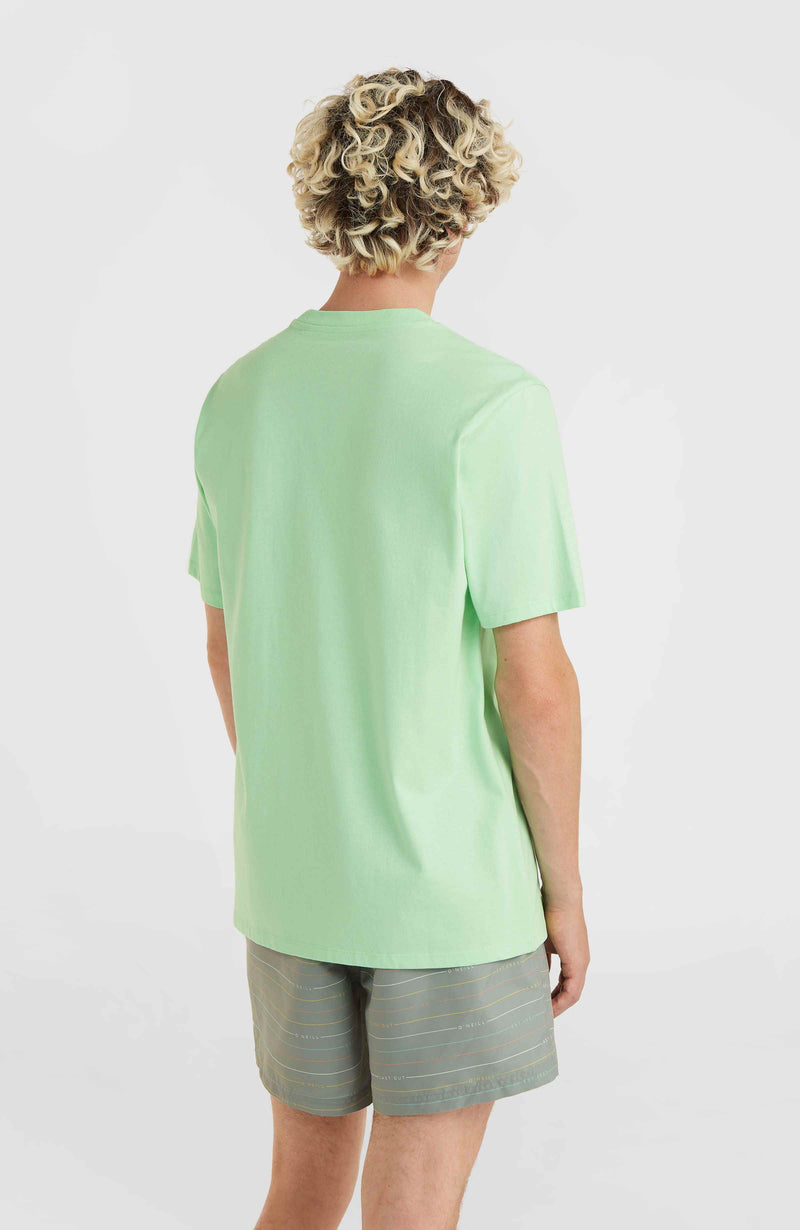 Oneill Men Cali Original T-Shirt | Green