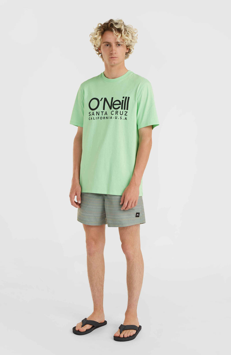 Oneill Men Cali Original T-Shirt | Green