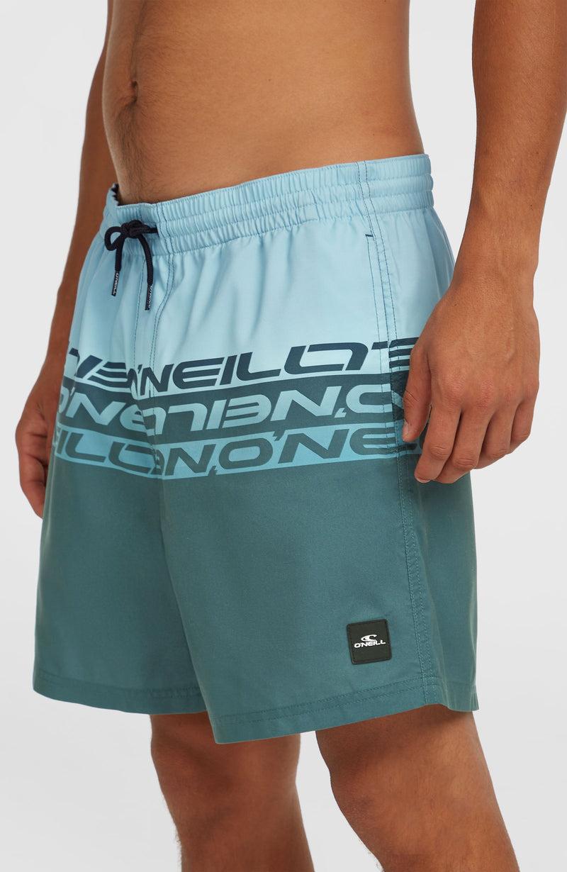 Oneill Men Cali Stripe 16'' Swim Shorts | Blue