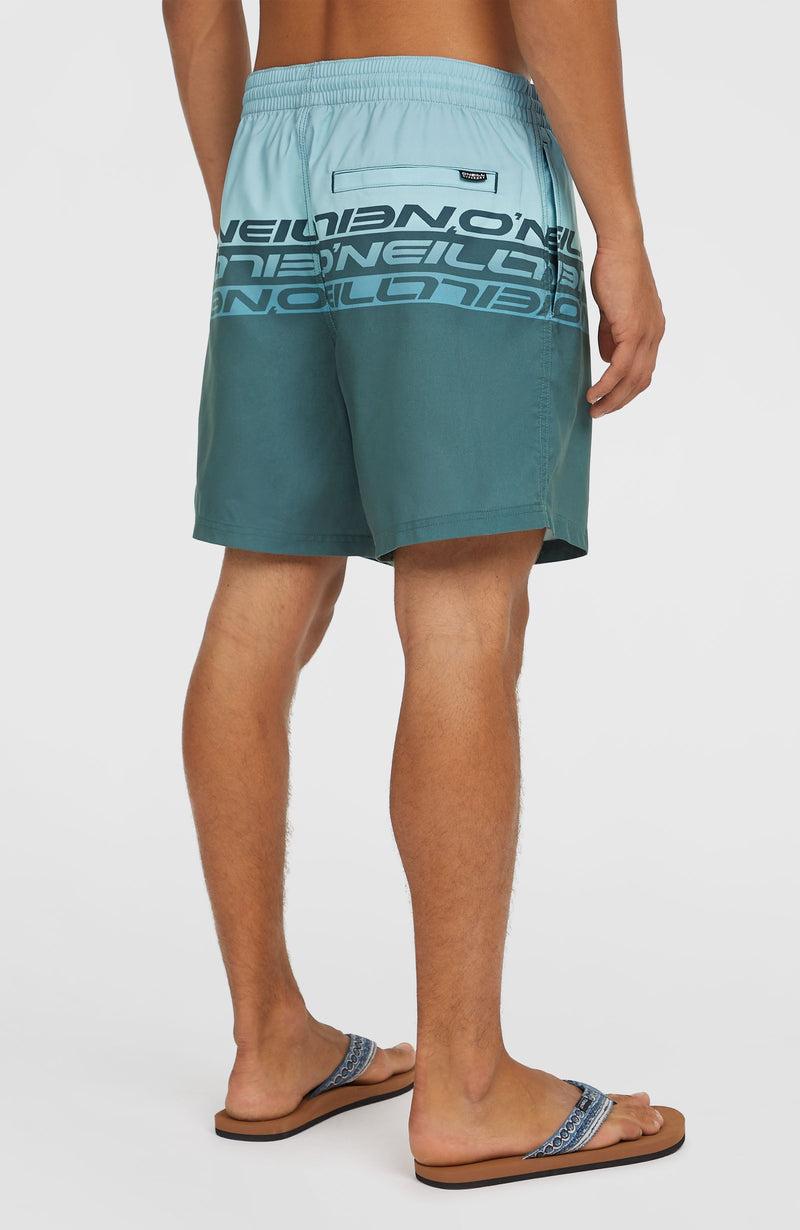 Oneill Men Cali Stripe 16'' Swim Shorts | Blue