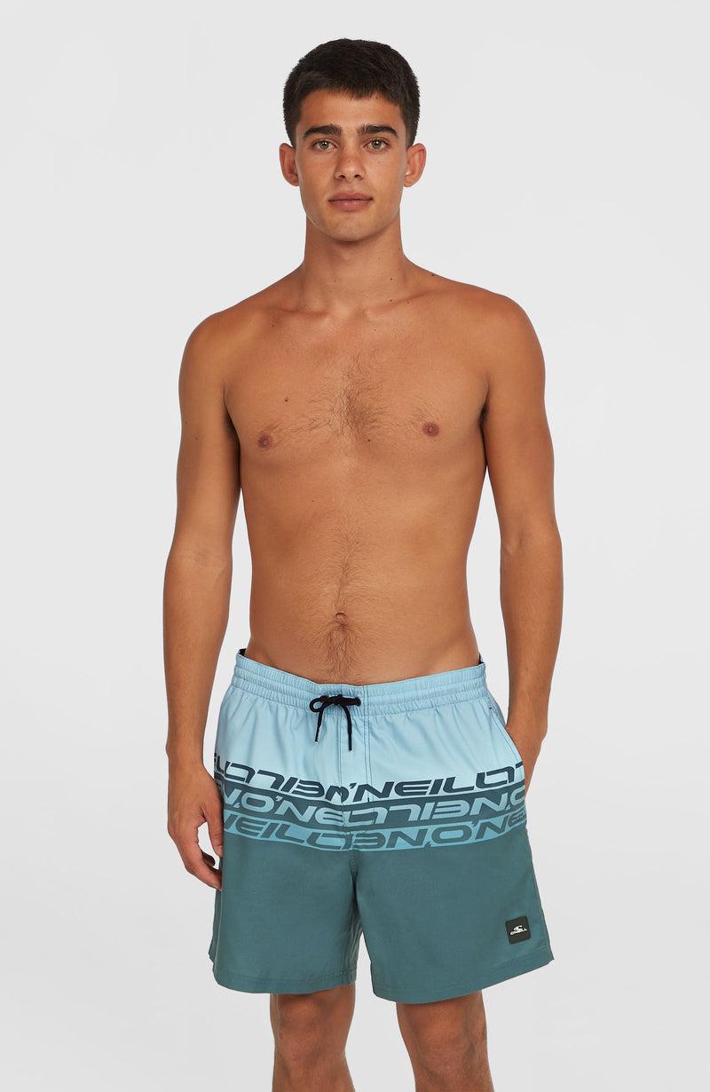 oneill Men Cali Stripe 16'' Swim Shorts | Blue