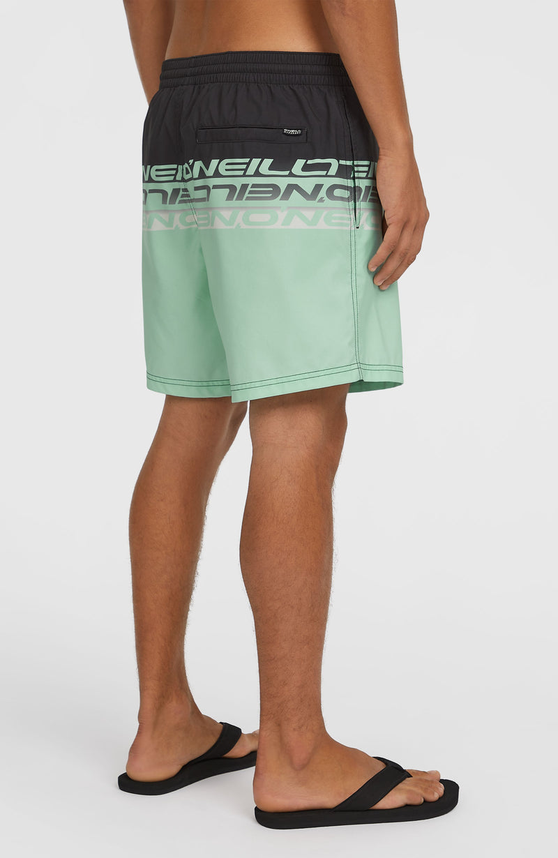 Oneill Men Cali Stripe 16'' Swim Shorts | Green