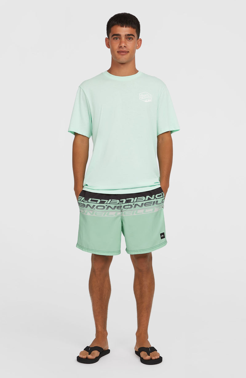 Oneill Men Cali Stripe 16'' Swim Shorts | Green