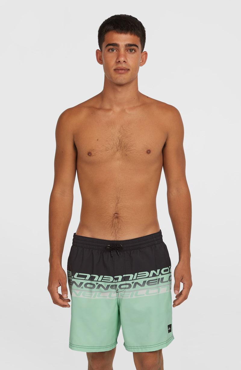 oneill Men Cali Stripe 16'' Swim Shorts | Green