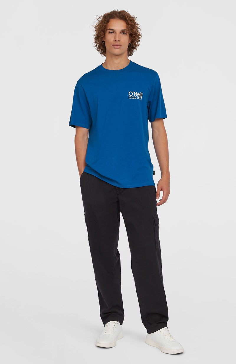 oneill Men Essentials Cargo Pants | Black