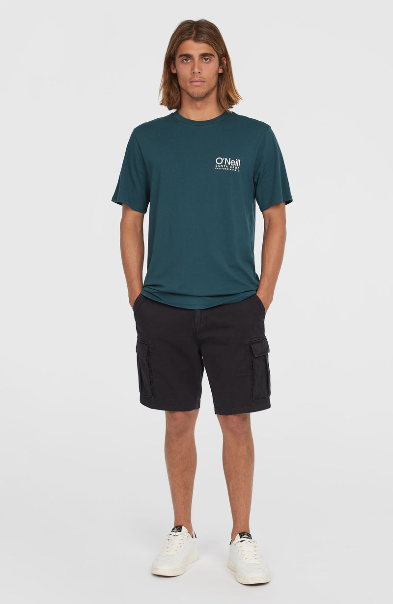 oneill Men Essentials Cargo Shorts | Black