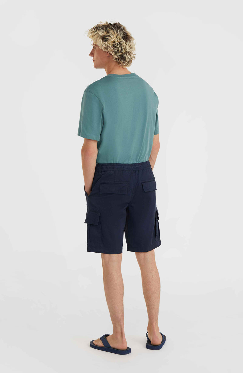 Oneill Men Essentials Cargo Shorts | Blue