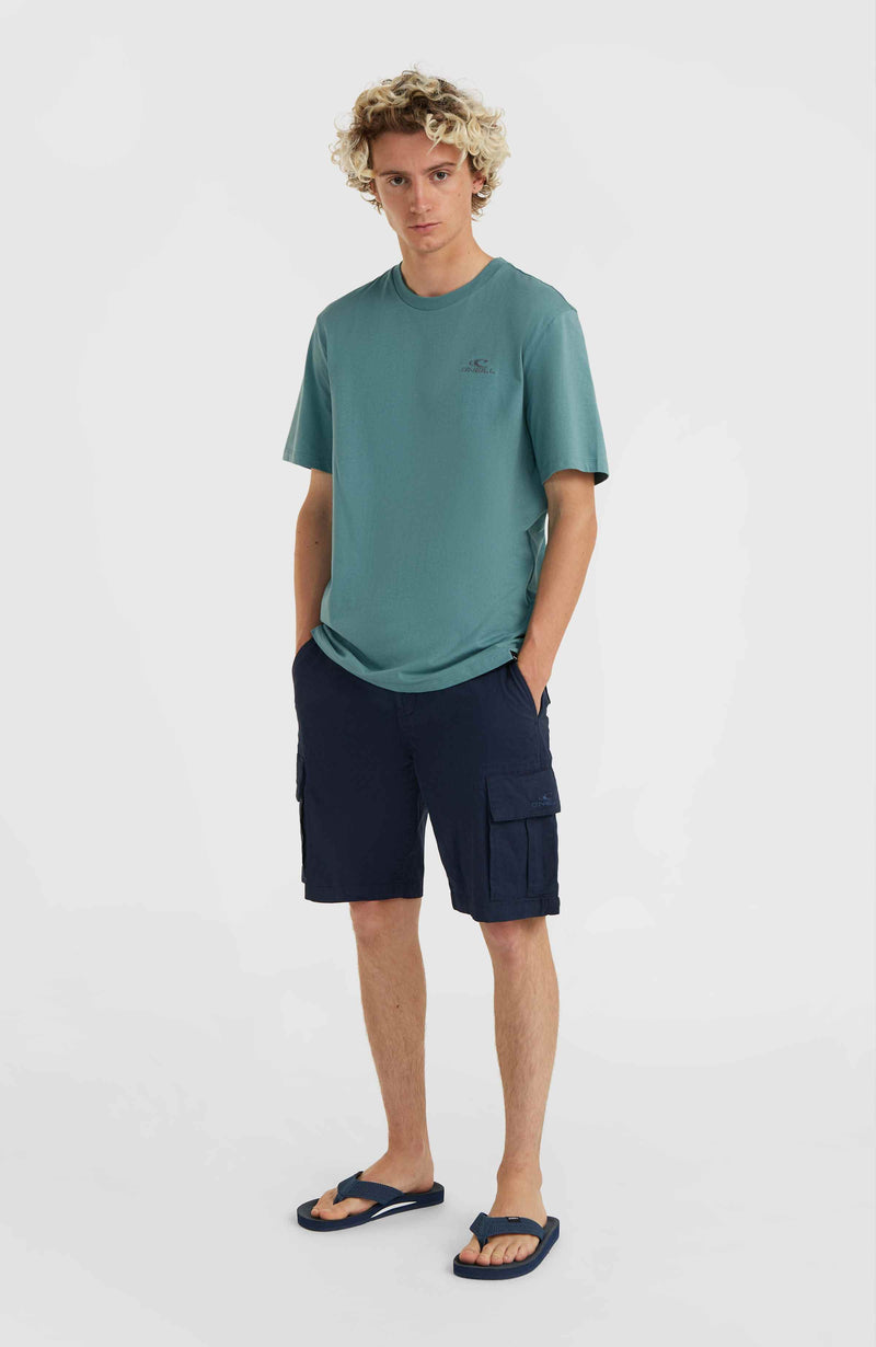 oneill Men Essentials Cargo Shorts | Blue