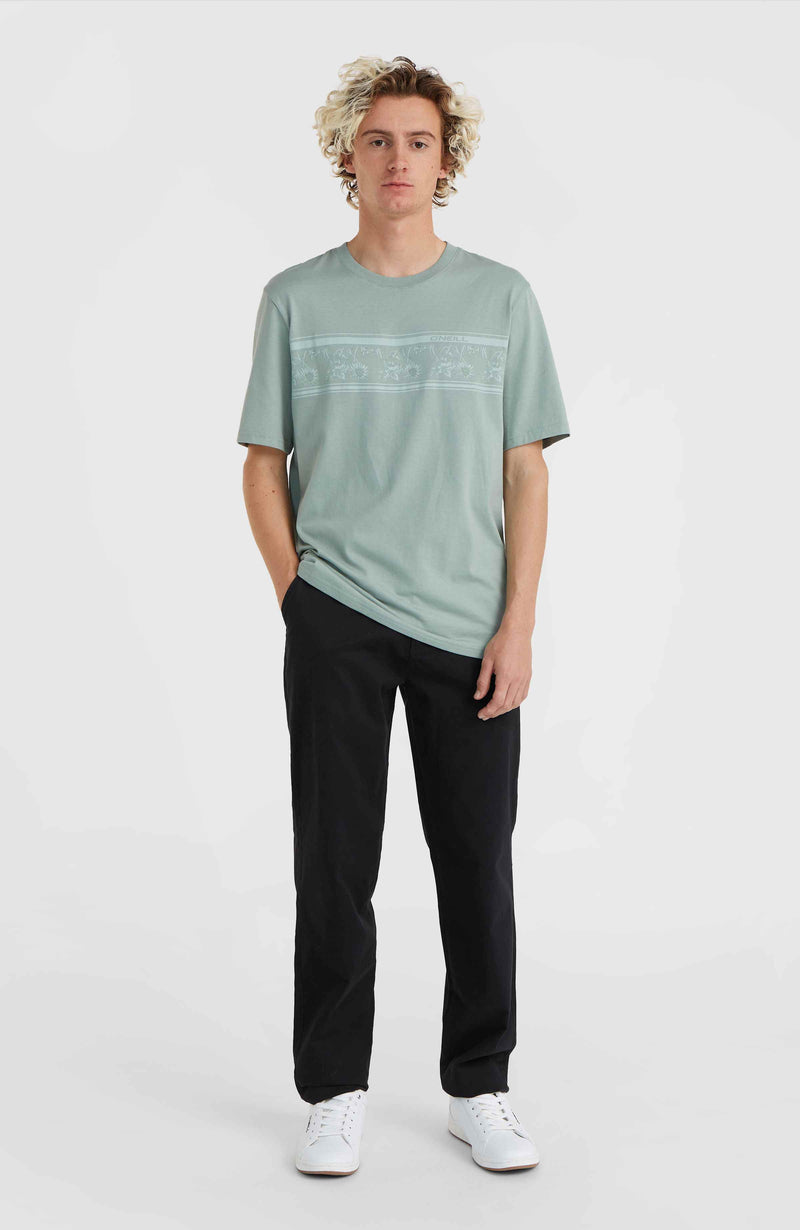 oneill Men Essentials Chino Pants | Grey