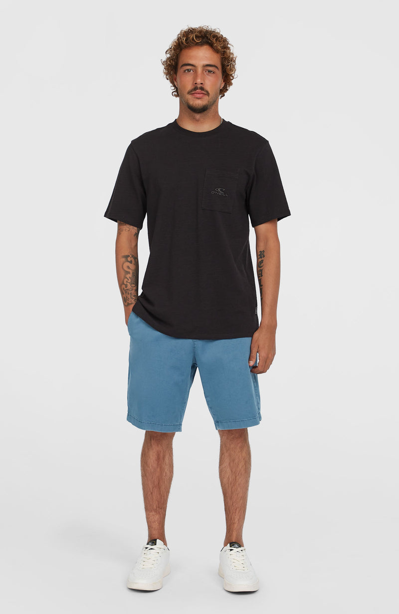 oneill Men Essentials Chino Shorts | Blue