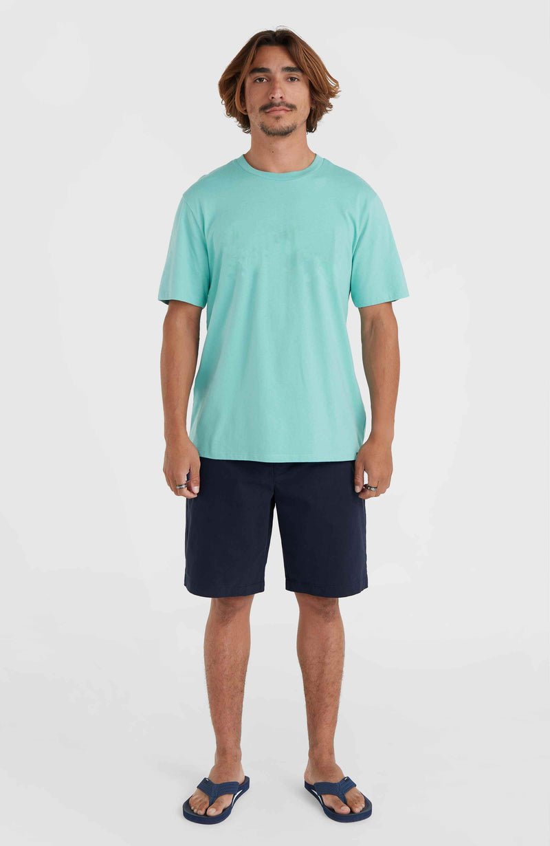 oneill Men Essentials Chino Shorts | Blue