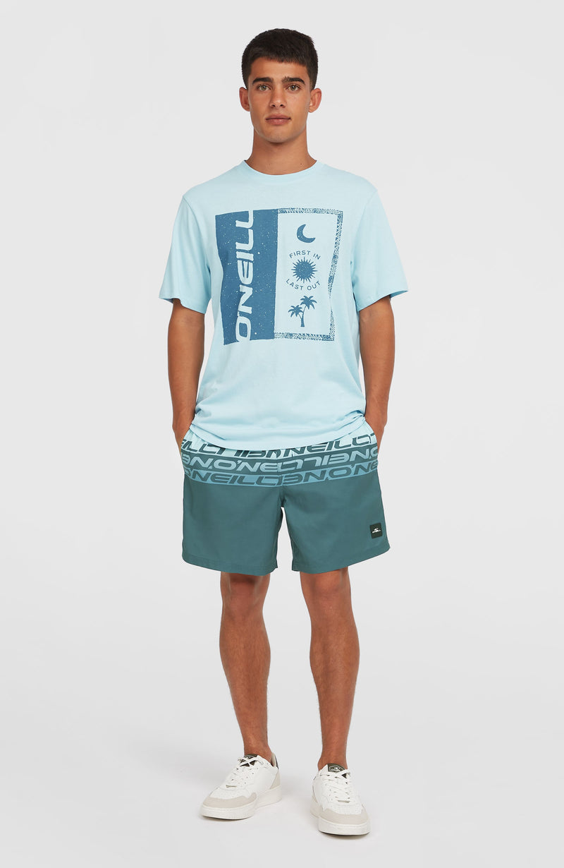 Oneill Men Front Print T-Shirt | Blue