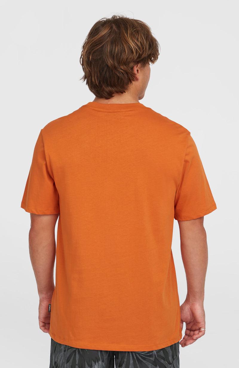 Oneill Men Front Print T-Shirt | Orange