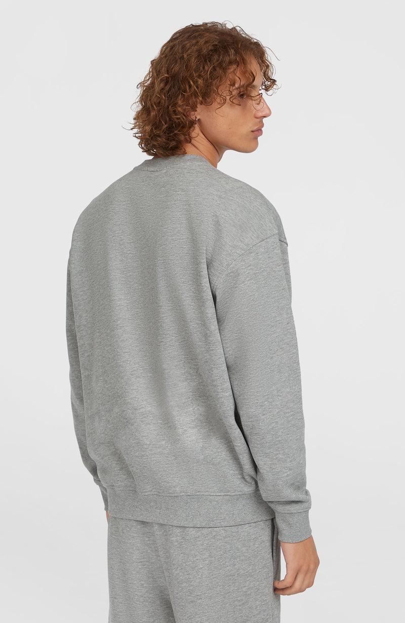 Oneill Men Future Surf Crew Sweatshirt | Grey