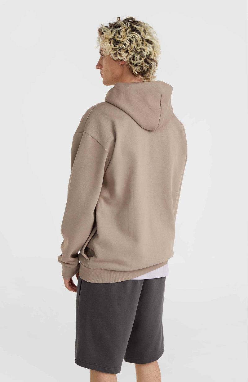 Oneill Men Future Surf Society Hoodie | Brown