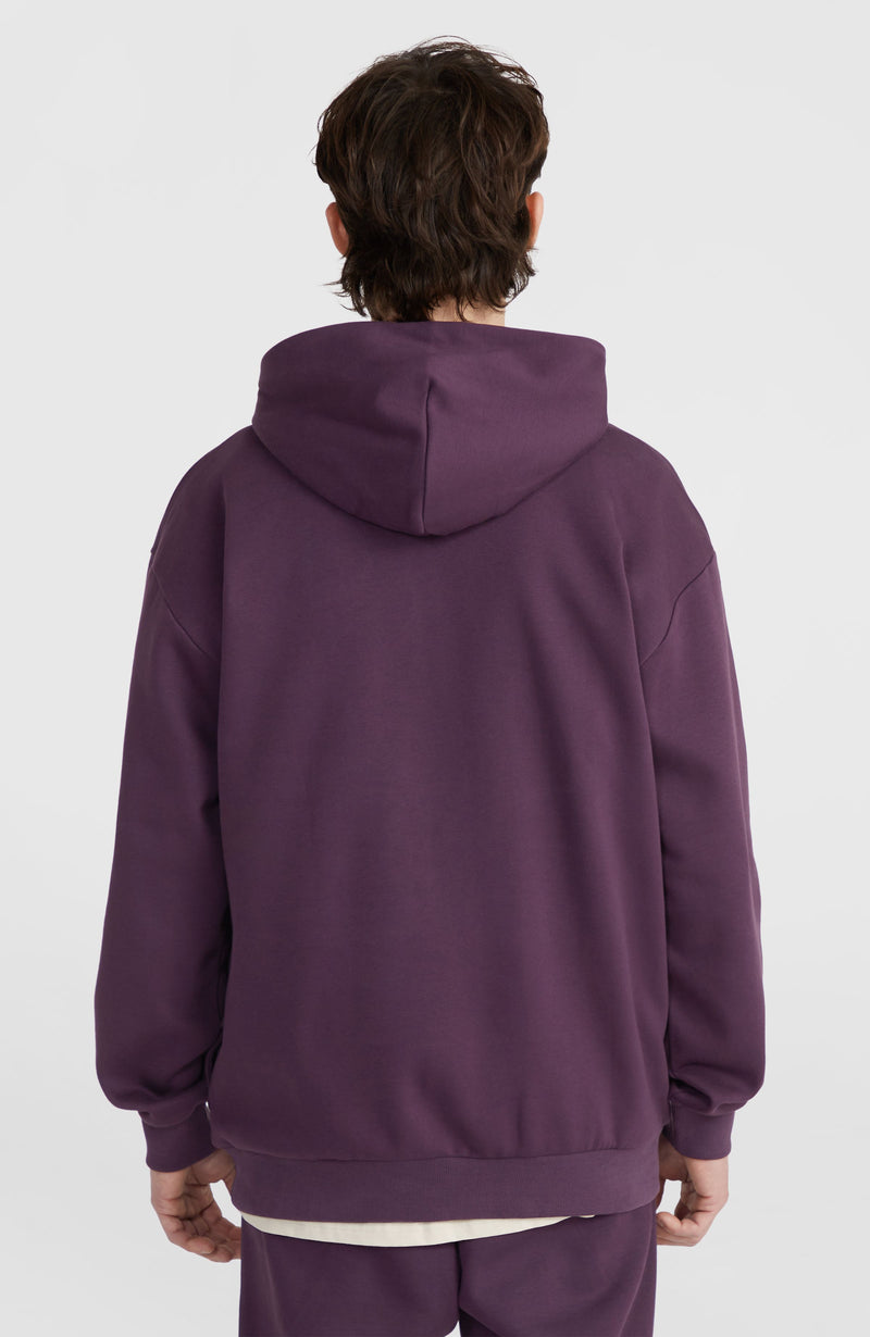 Oneill Men Future Surf Society Hoodie | Purple