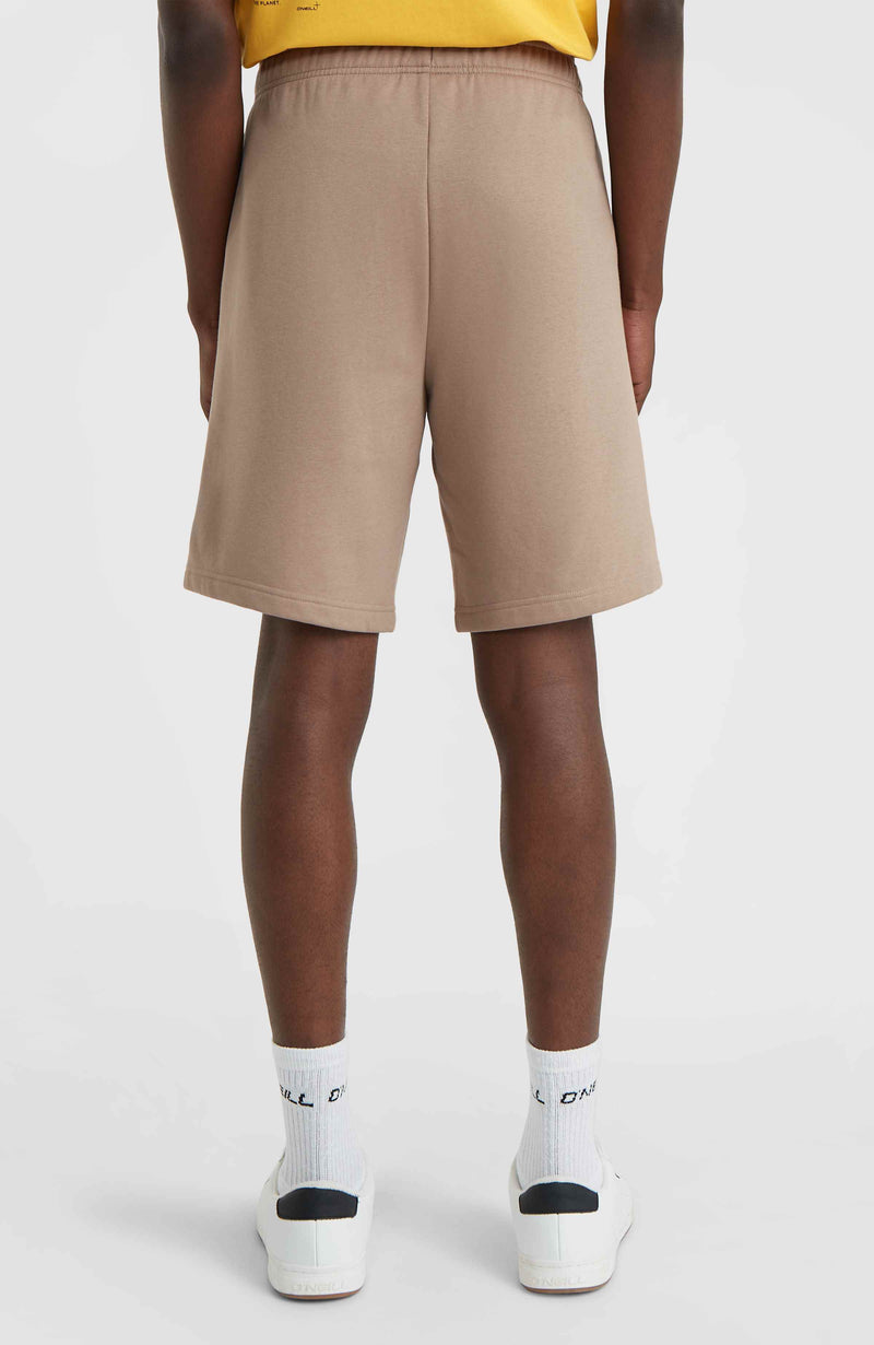 Oneill Men Future Surf Society Shorts | Brown