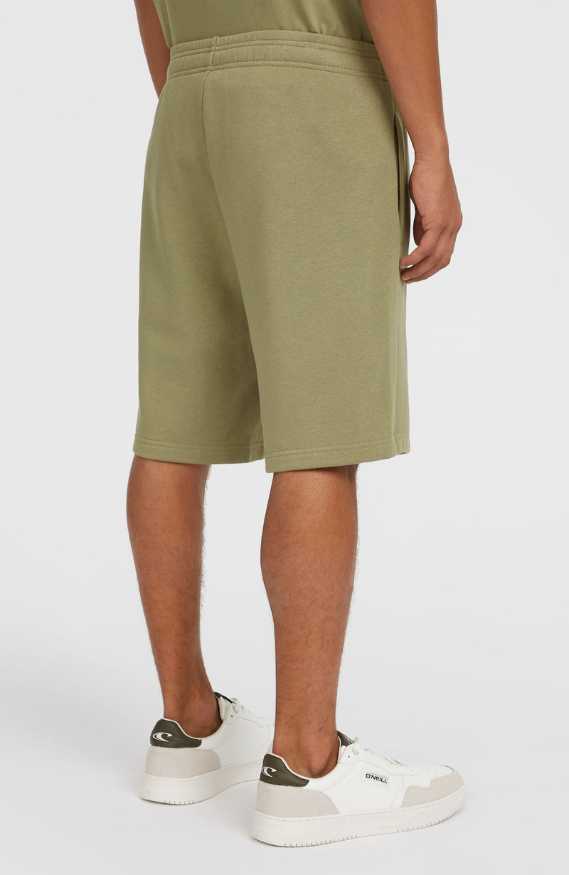 Oneill Men Future Surf Society Shorts | Green