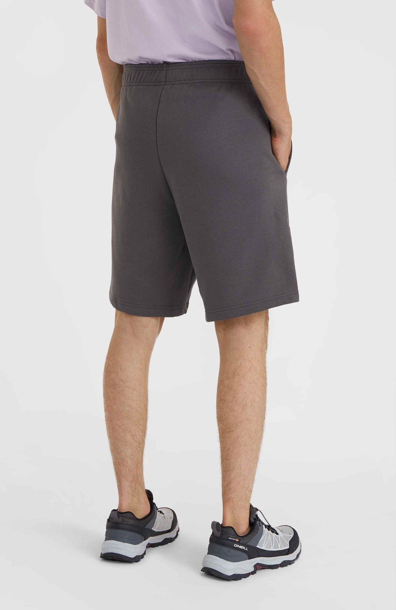 Oneill Men Future Surf Society Shorts | Grey