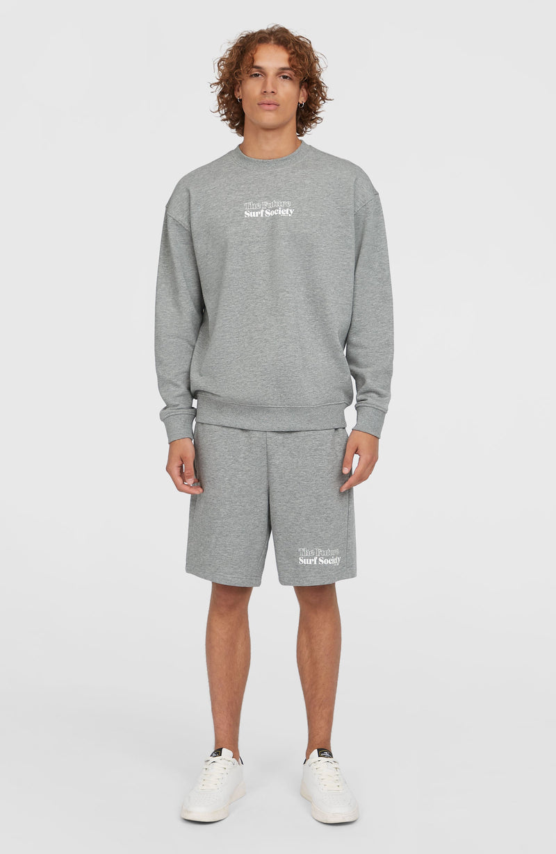 oneill Men Future Surf Society Shorts | Grey