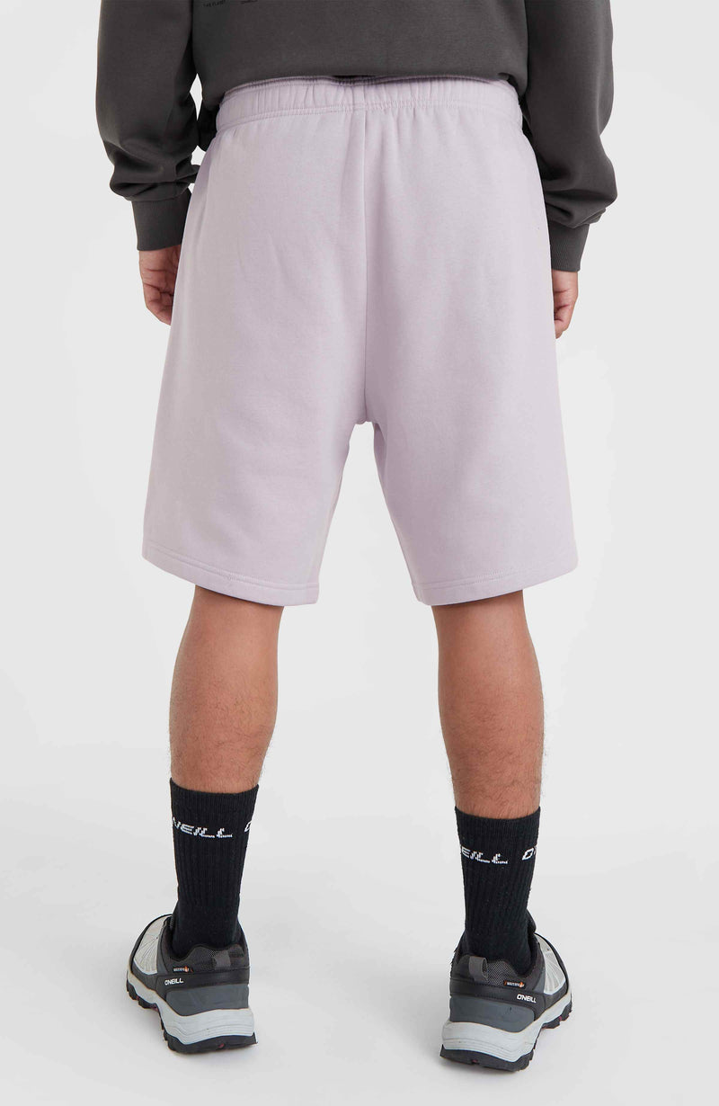 Oneill Men Future Surf Society Shorts | Purple